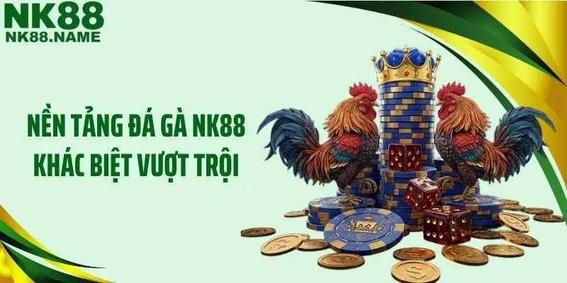 Nền tảng đá gà NK88 khác biệt vượt trội