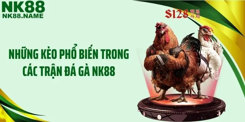 Những kèo phổ biến trong các trận đá gà NK88