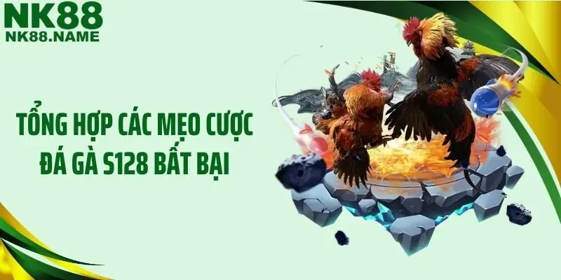 Tổng hợp các mẹo cược đá gà S128 bất bại